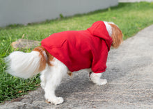 Load image into Gallery viewer, Doggie Hoodie - Zero Fox 3